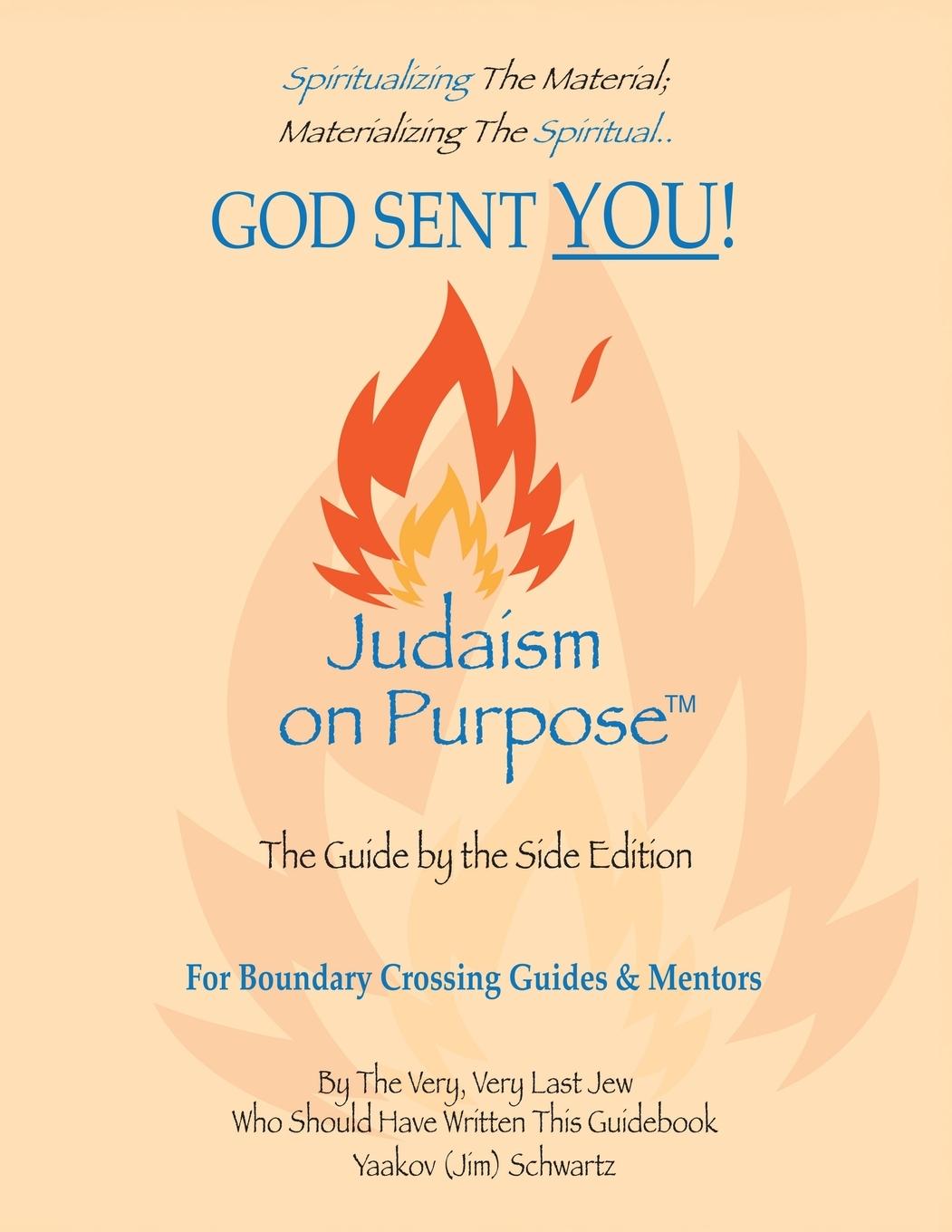 Kniha God Sent You! James D. Schwartz