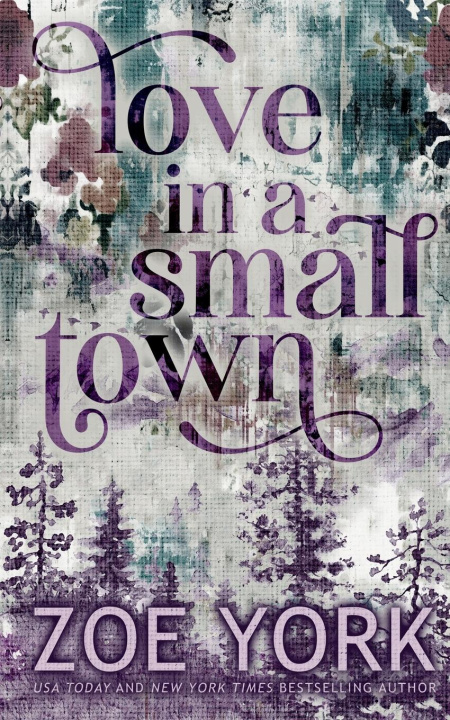 Kniha Love in a Small Town 
