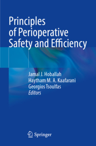 Kniha Principles of Perioperative Safety and Efficiency Georgios Tsoulfas