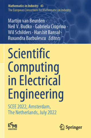 Kniha Scientific Computing in Electrical Engineering Neil V. Budko