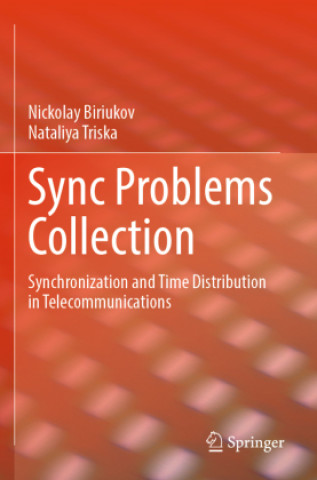 Libro Sync Problems Collection Nickolay Biriukov