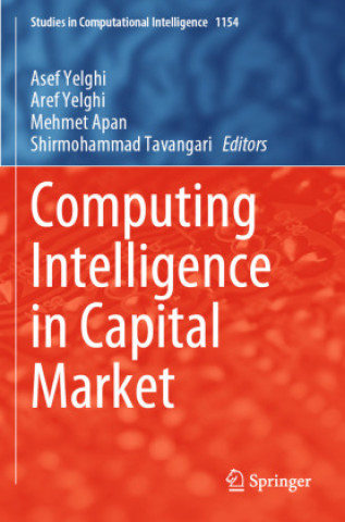 Kniha Computing Intelligence in Capital Market Shirmohammad Tavangari