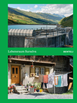 Buch Lebensraum Surselva Urs Meyer