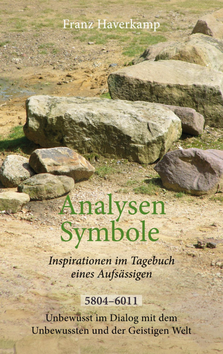 Book Analysen - Symbole 5804-6011 Franz Haverkamp