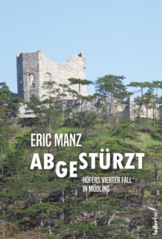 Kniha Abgestürzt Eric Manz