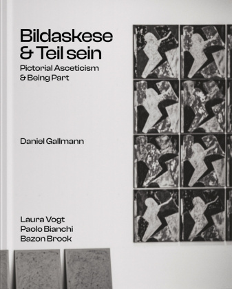 Kniha Daniel Gallmann Bazon Brock