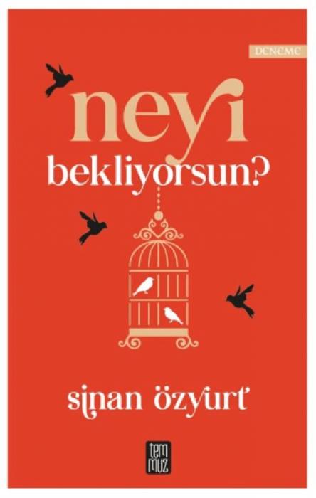 Book Neyi Bekliyorsun 