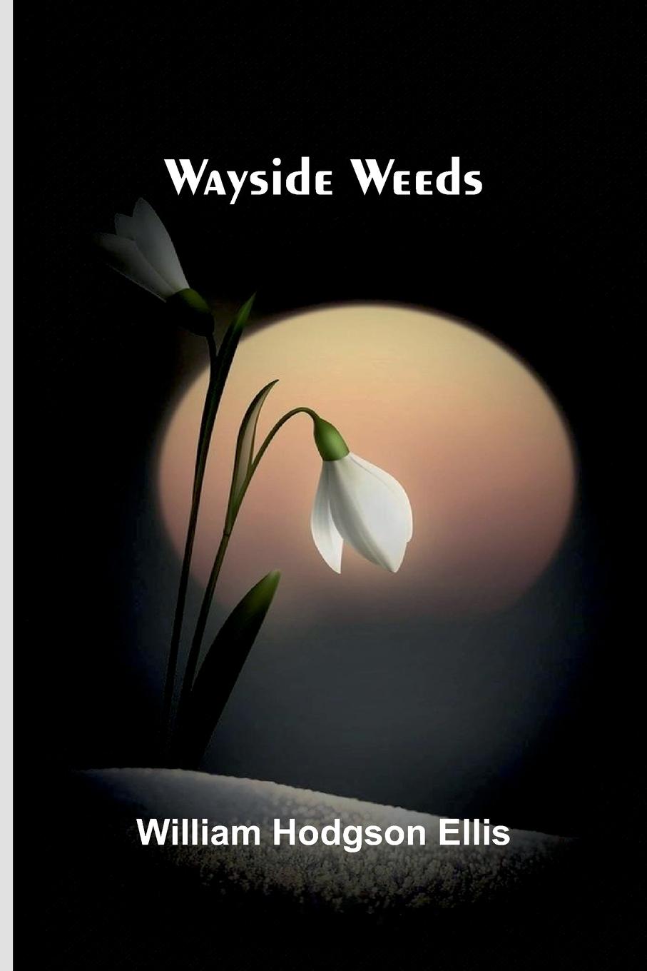 Knjiga Wayside Weeds William Hodgson Ellis