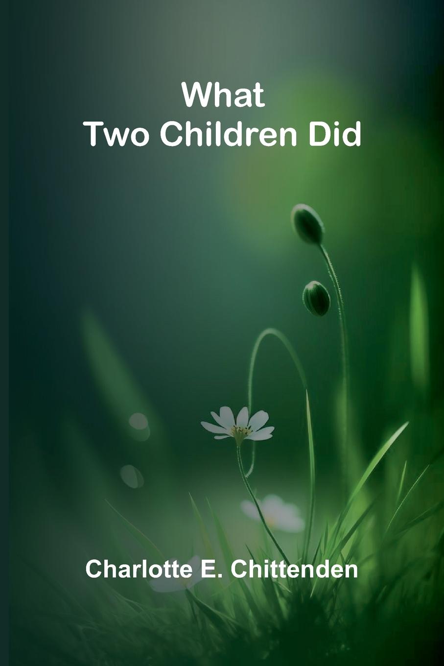 Kniha What Two Children Did Charlotte E. Chittenden