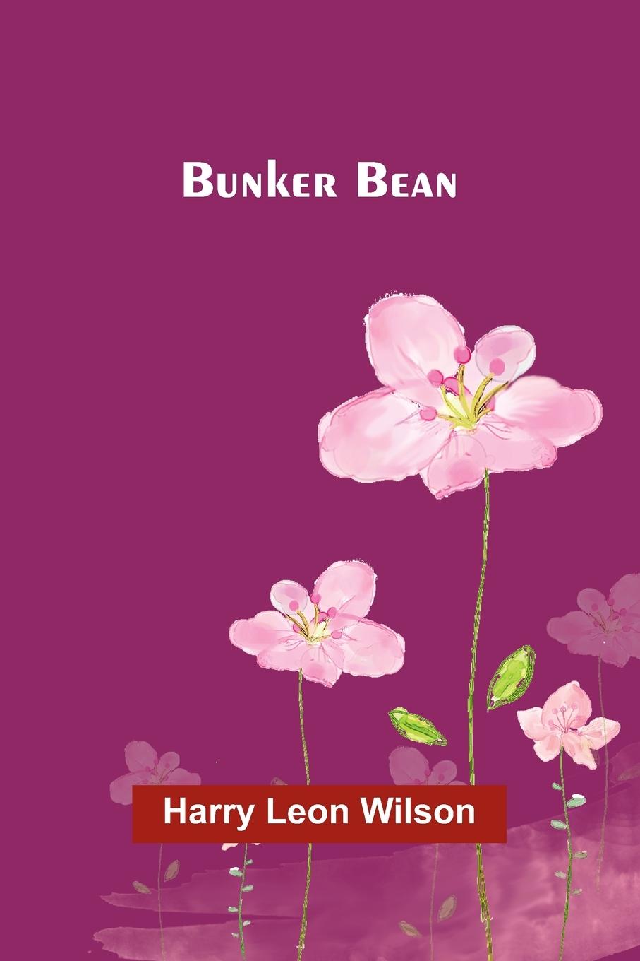Kniha Bunker Bean Harry Leon Wilson
