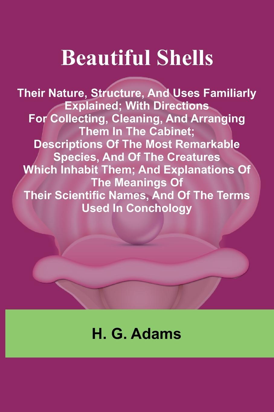 Kniha Beautiful Shells H. G. Adams