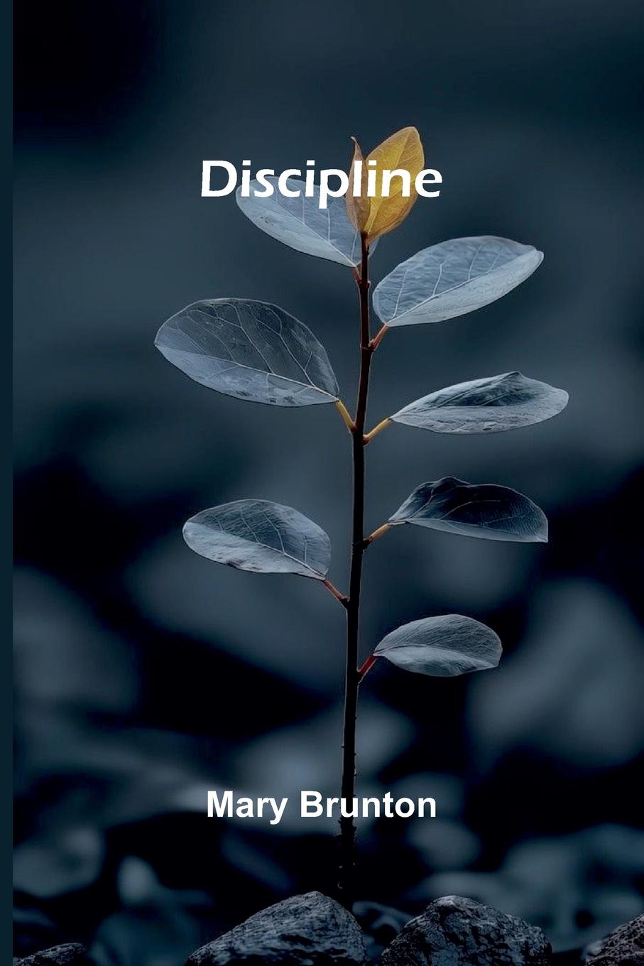 Kniha Discipline Mary Brunton