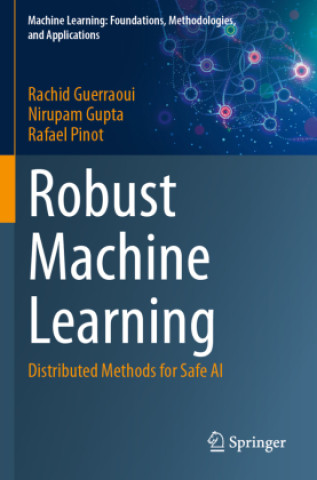 Book Robust Machine Learning Rafael Pinot