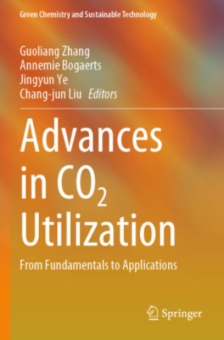 Kniha Advances in CO2 Utilization Chang-Jun Liu