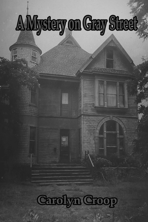 Kniha A Mystery on Gray Street 
