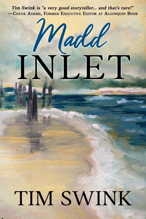 Kniha Madd Inlet Tim Swink