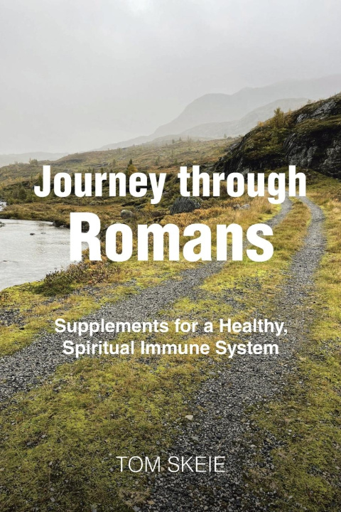 Kniha Journey through Romans Tom Skeie