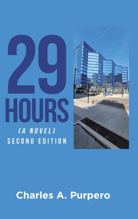 Kniha 29 Hours (A Novel) 