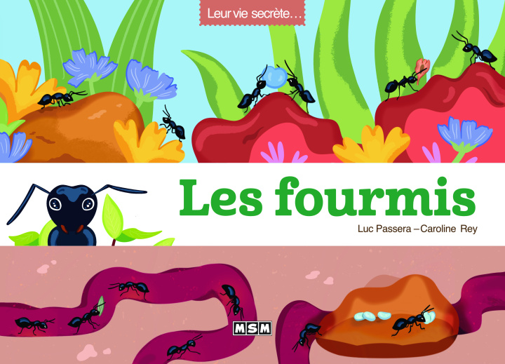 Kniha LES FOURMIS PASSERA