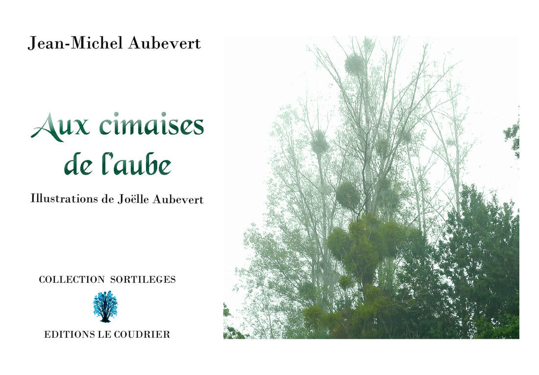 Knjiga Aux cimaises de l’aube Aubevert