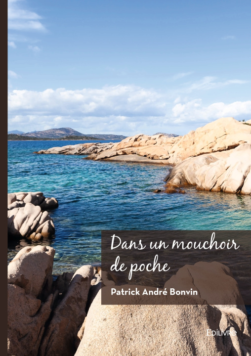 Carte Dans un mouchoir de poche Patrick André Bonvin