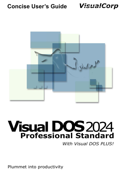 Kniha Visual DOS 2024 Concise User's Guide Abbie Gonzalez