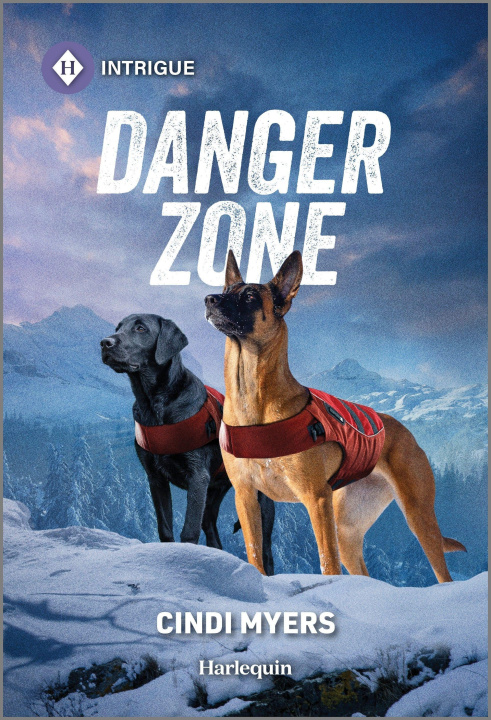 Kniha Danger Zone 