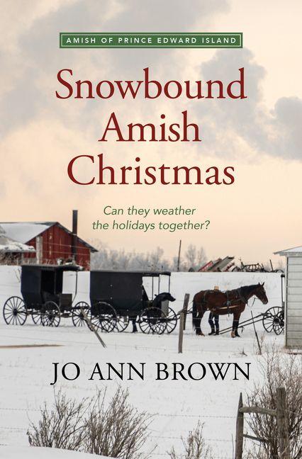 Kniha Snowbound Amish Christmas 