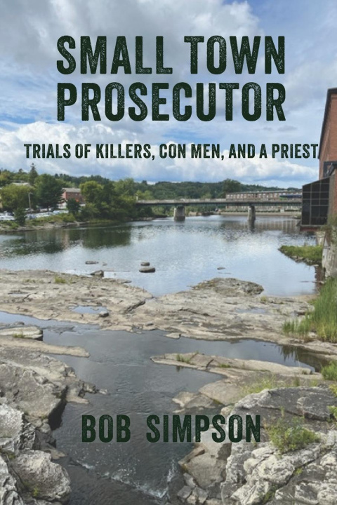 Kniha Small Town Prosecutor 