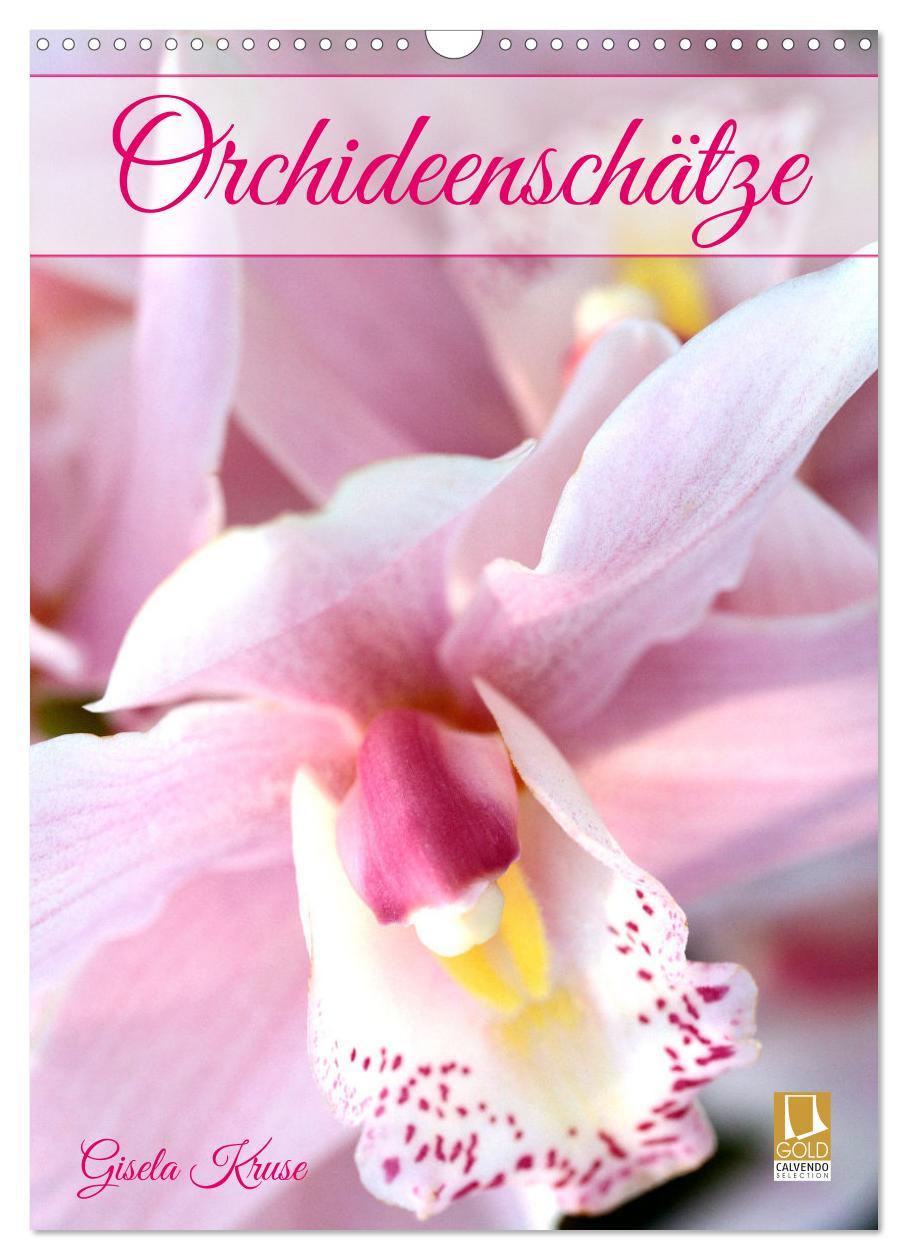 Kalendář/Diář Orchideenschätze (Wandkalender 2026 DIN A3 hoch), CALVENDO Monatskalender Calvendo