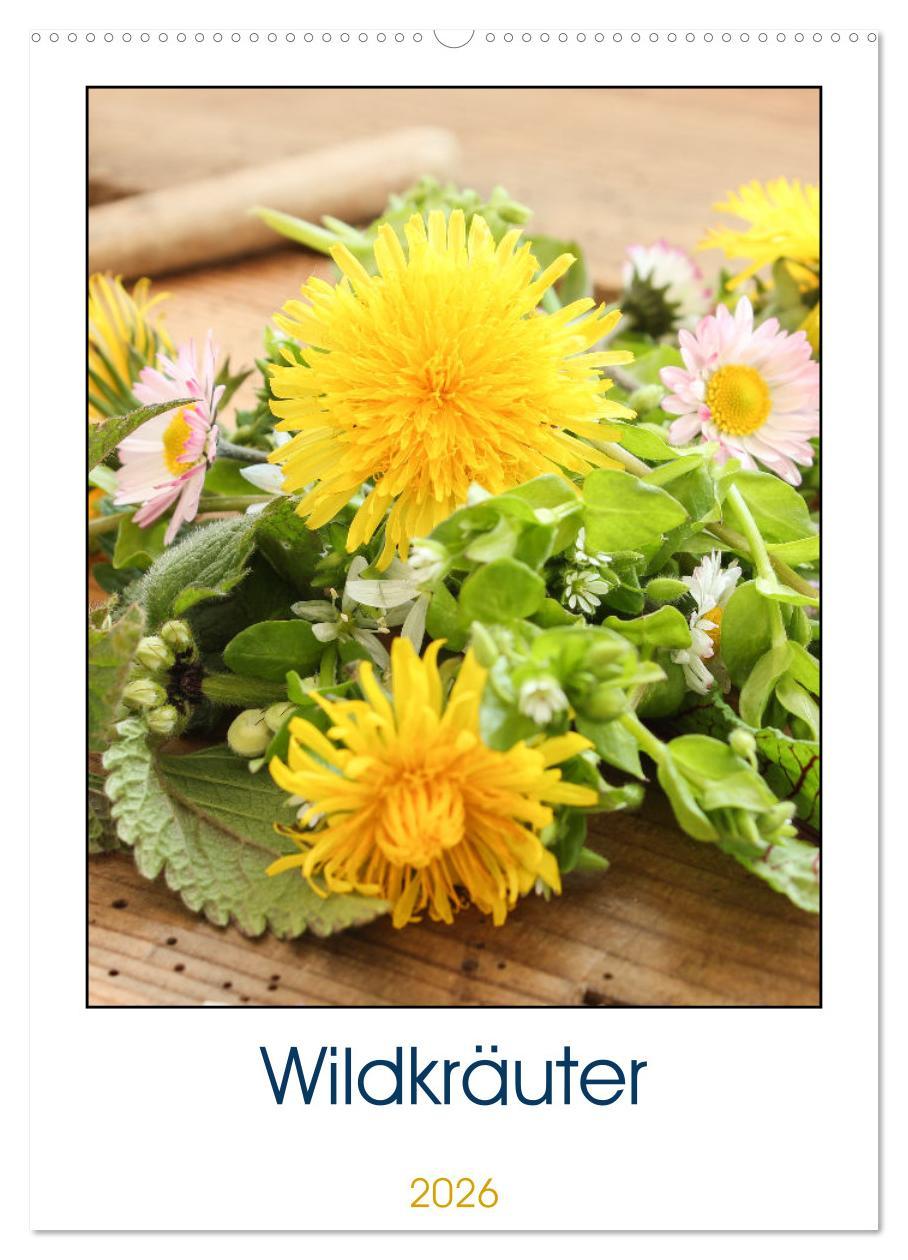 Kalendář/Diář Essbare Wildkräuter (Wandkalender 2026 DIN A2 hoch), CALVENDO Monatskalender Calvendo