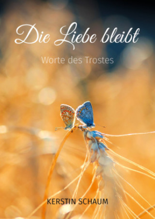 Kniha Die Liebe bleibt Kerstin Schaum