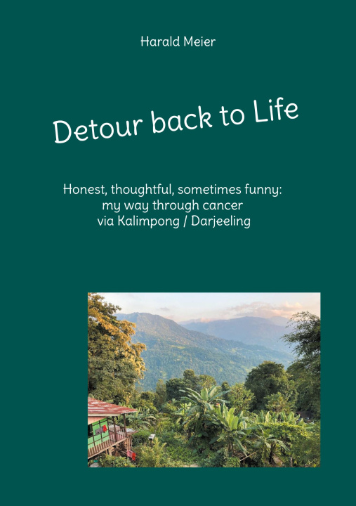 Книга Detour back to Life Harald Meier