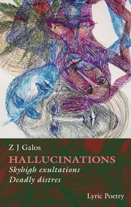 Kniha Hallucinations 