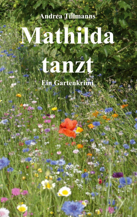 Kniha Mathilda tanzt Andrea Tillmanns
