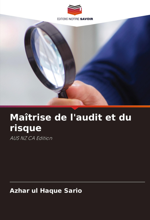 Kniha Maîtrise de l'audit et du risque 