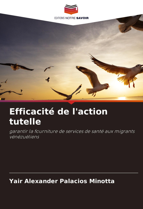 Kniha Efficacité de l'action tutelle Yair Alexander Palacios Minotta