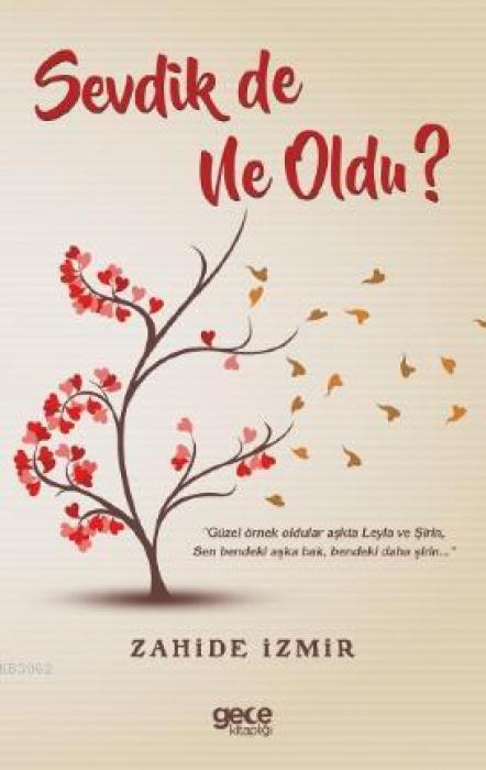 Kniha Sevdik de Ne Oldu 