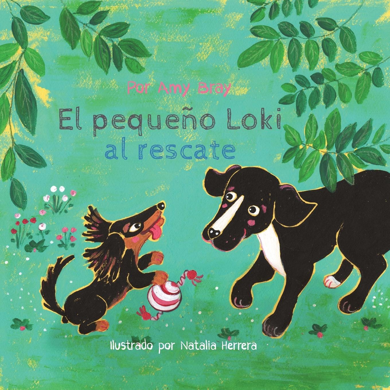 Kniha El peque?o Loki al rescate Amy Bray