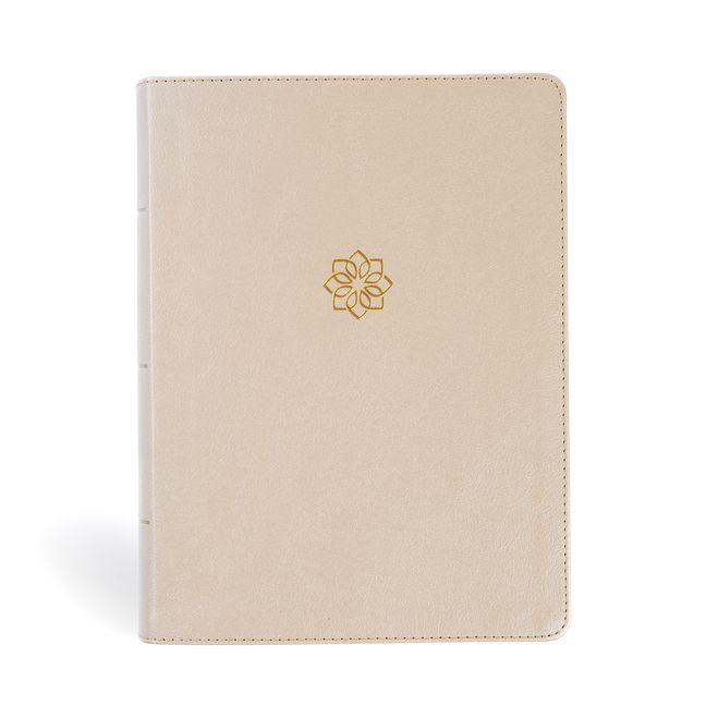 Kniha CSB Study Bible, Large Print, Digital Study Edition, Gold Leathertouch, Indexed 