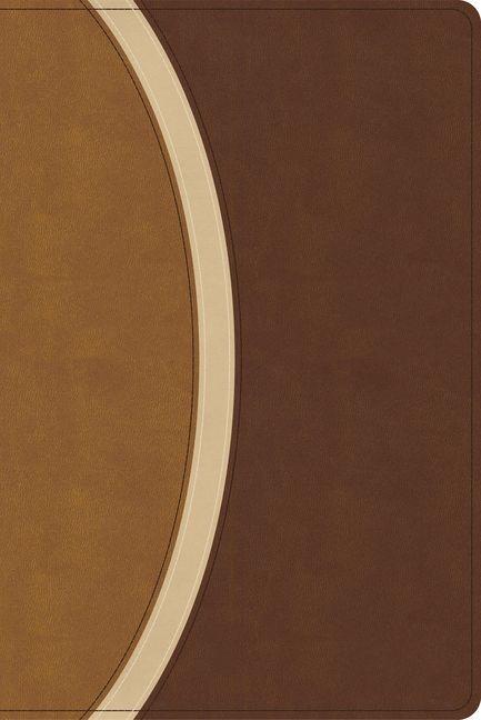 Book CSB Rainbow Study Bible, Brown Leathertouch (Limited Edition) 