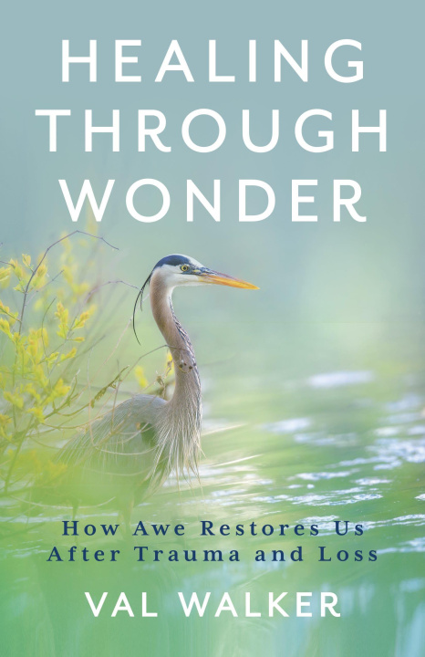 Carte Healing Through Wonder Val Walker