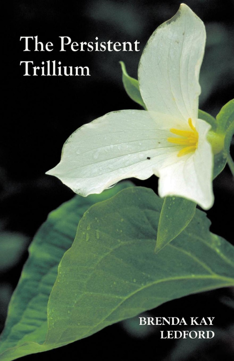 Kniha The Persistent Trillium 