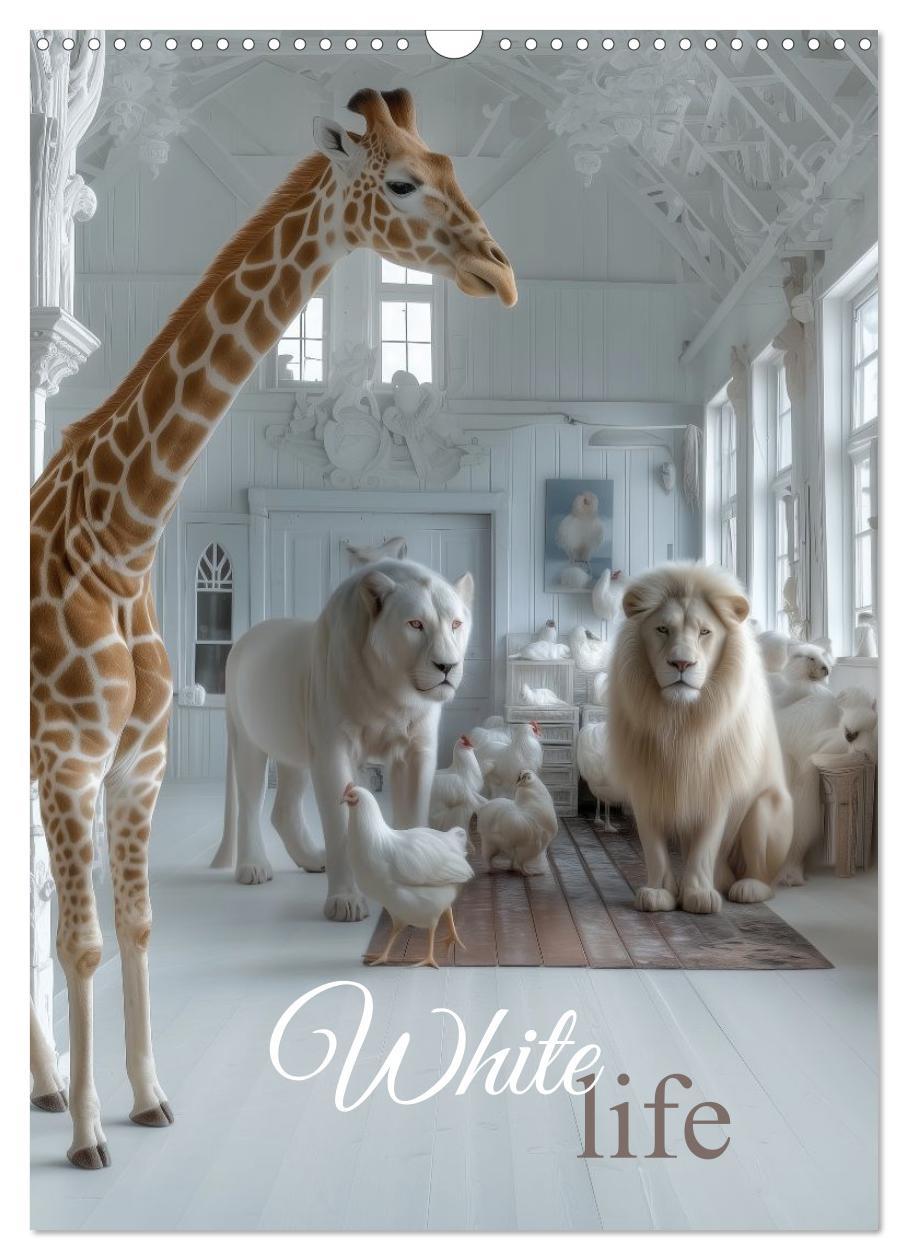 Kalendár/Diár White Life (Wandkalender 2026 DIN A3 hoch), CALVENDO Monatskalender Calvendo