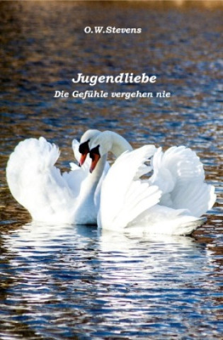Kniha Jugendliebe O.W. Stevens