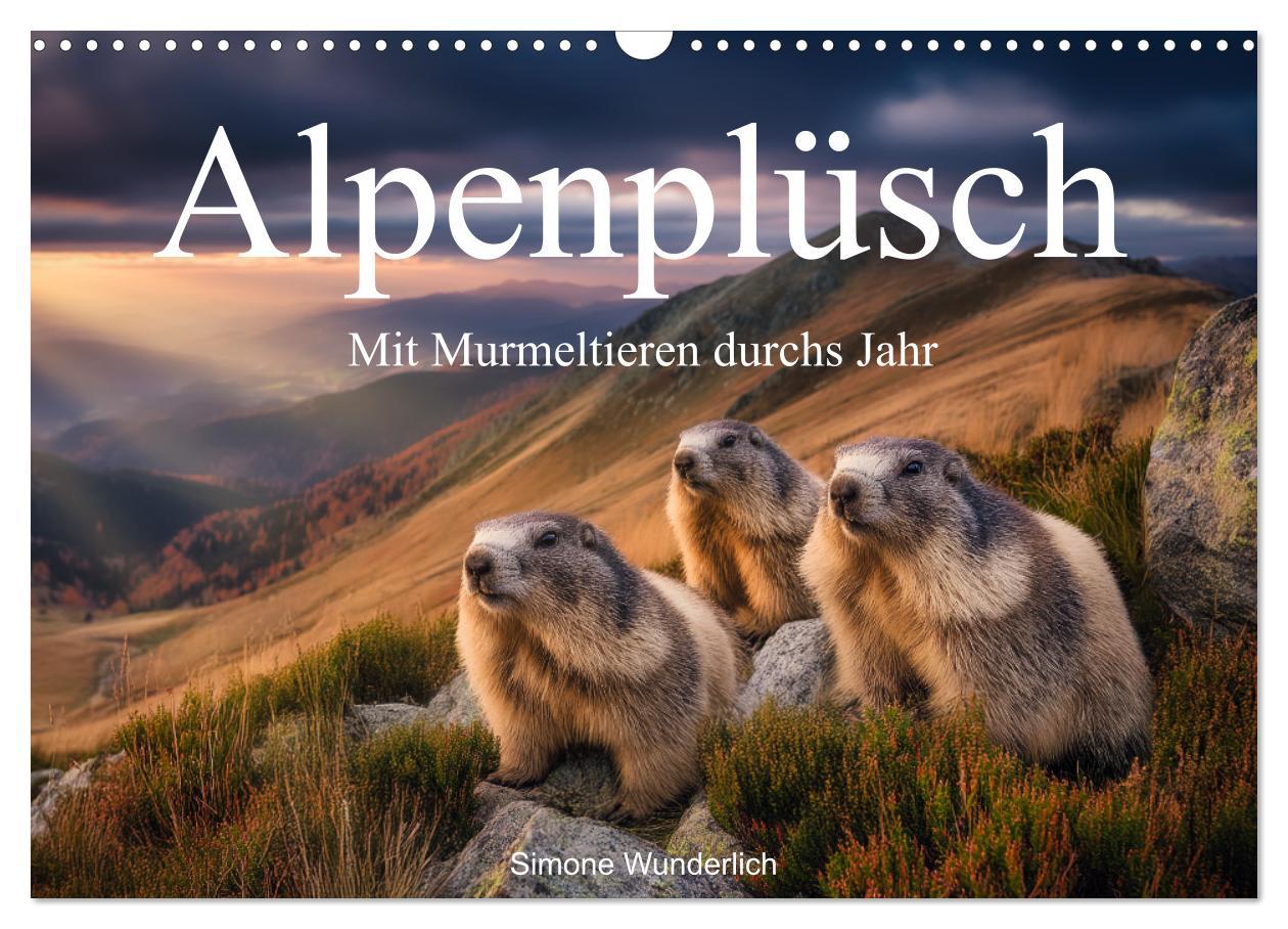 Kalendář/Diář Alpenplüsch - Mit Murmeltieren durchs Jahr (Wandkalender 2026 DIN A3 quer), CALVENDO Monatskalender Calvendo