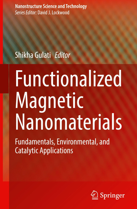 Knjiga Functionalized Magnetic Nanomaterials Shikha Gulati