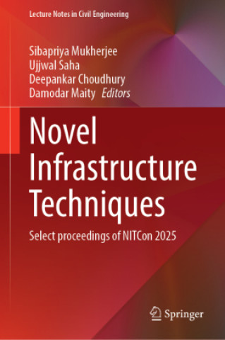Kniha Novel Infrastructure Techniques Sibapriya Mukherjee