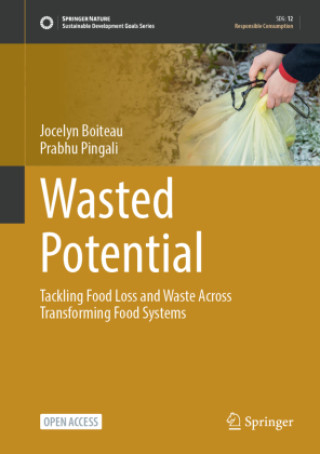 Kniha Wasted Potential Jocelyn Boiteau