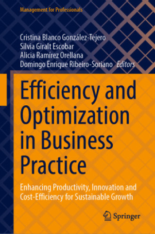 Kniha Efficiency and Optimization in Business Practice Cristina Blanco González-Tejero